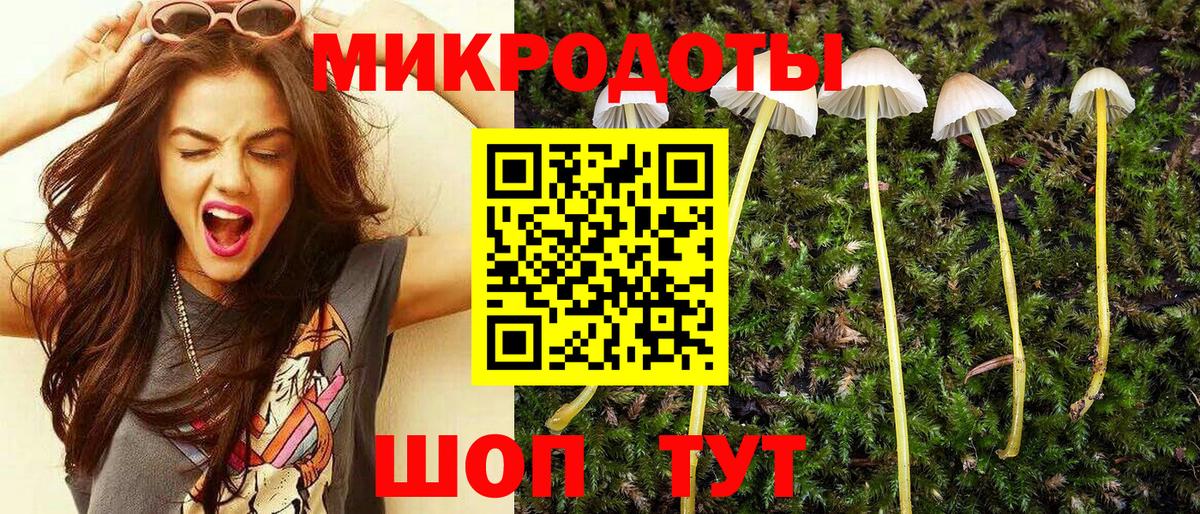 Псилоцибиновые грибы Magic Shrooms Гусиноозёрск