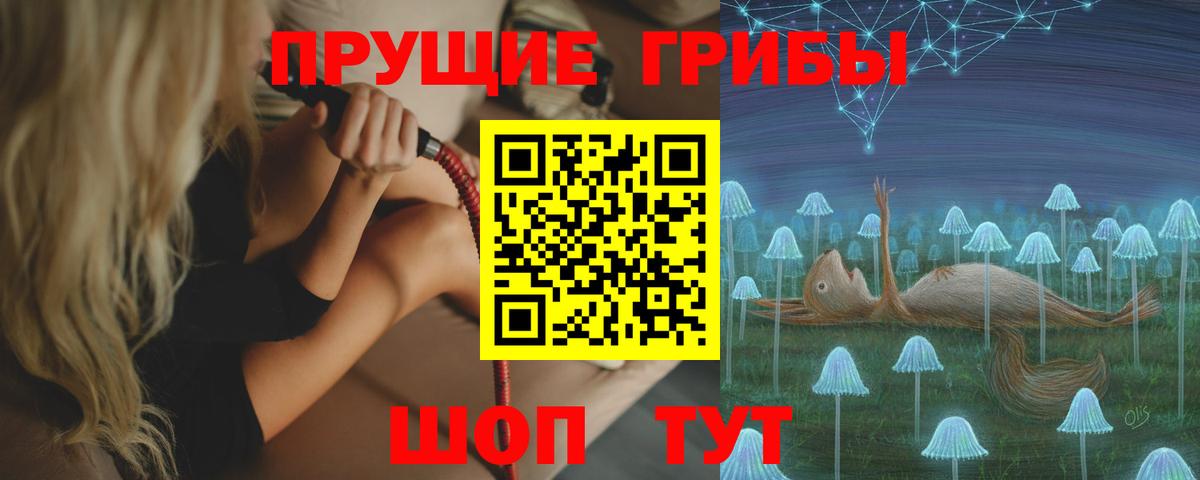 Гусиноозёрск  Псилоцибиновые грибы Psilocybe  Вход с VPN 
